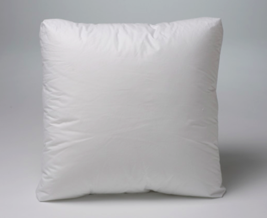 Throw Pillow-16x16 insert only